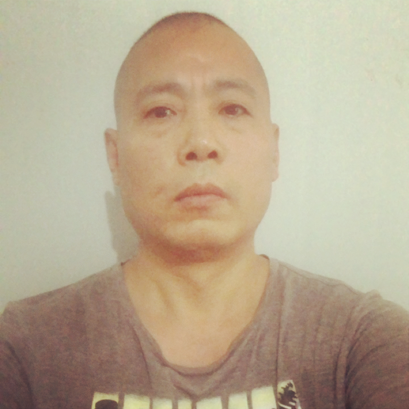 标致向黑猫的照片