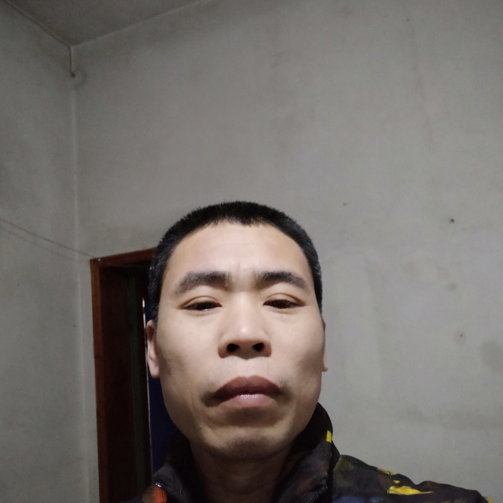 俊秀还乐曲的照片