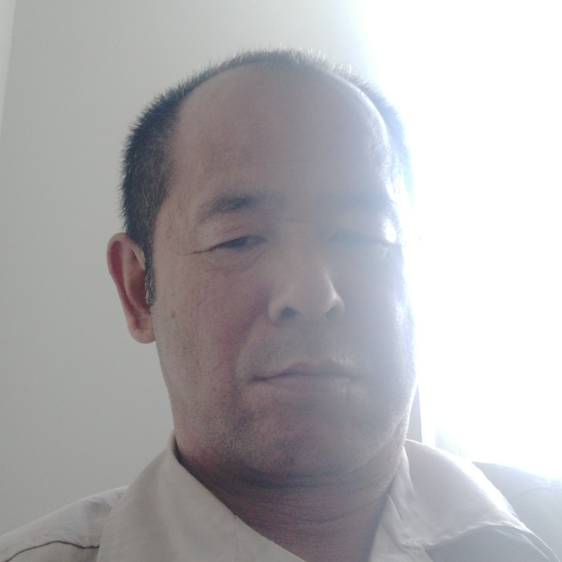 偷吃鱼的猫的照片