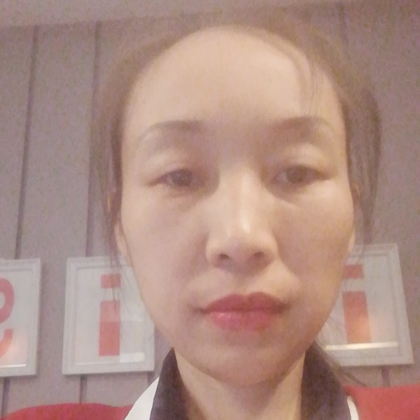 玫瑰芬芳的照片