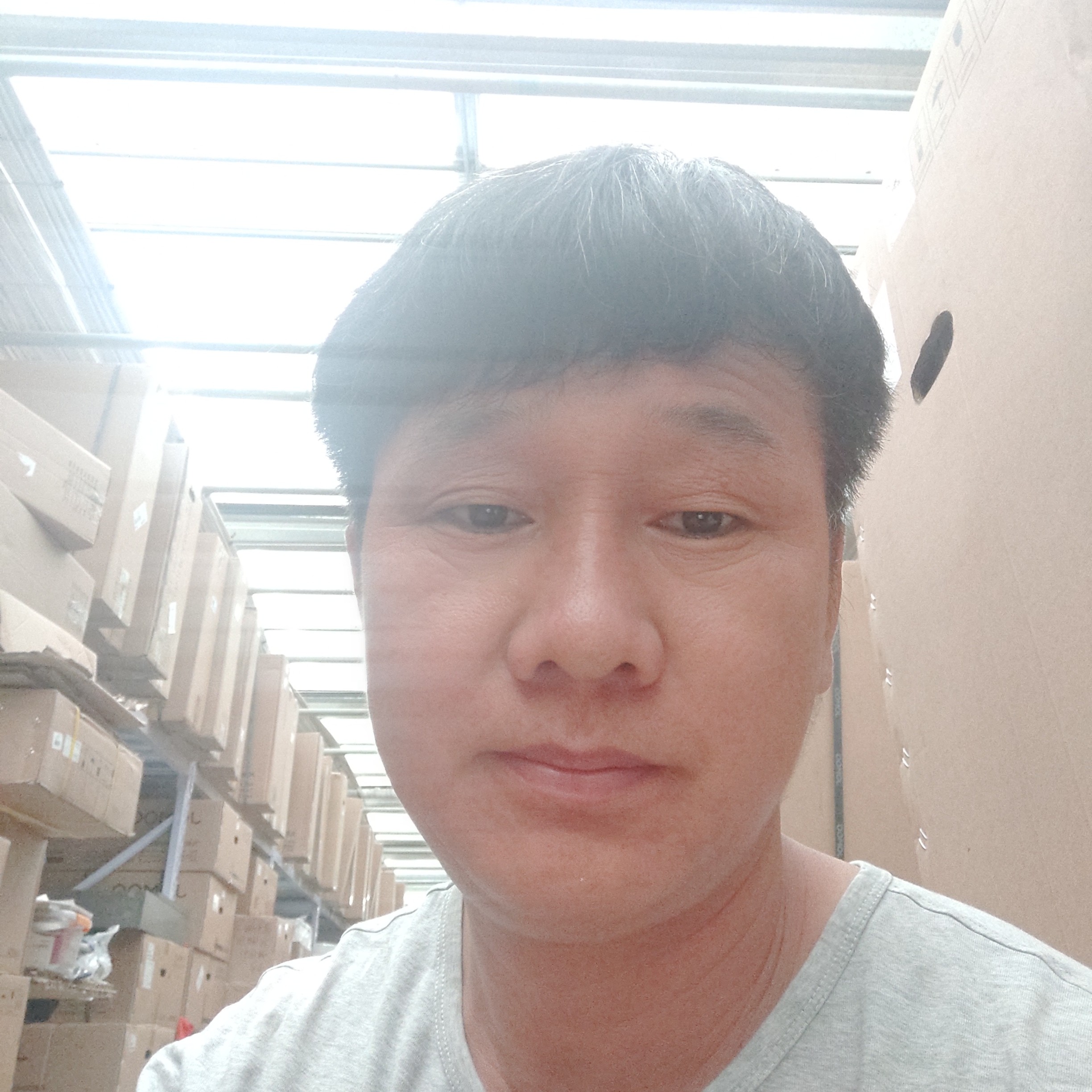 安静的企鹅的照片