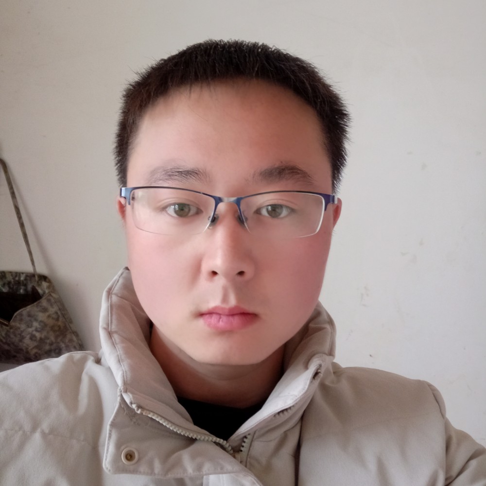 无聊的树叶的照片