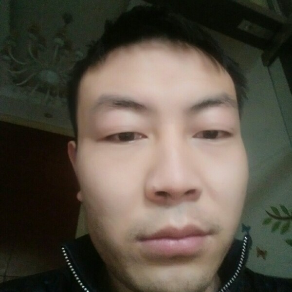 仙人掌打落寂的照片