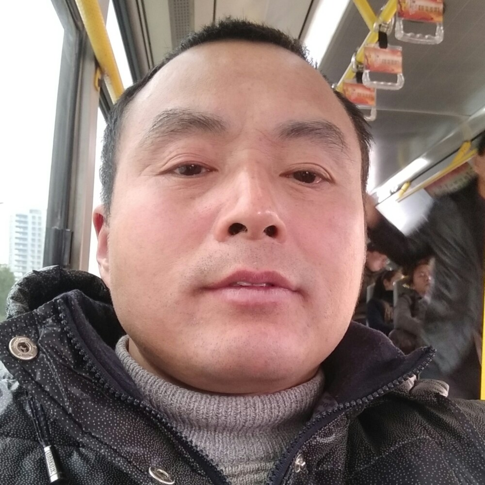 缓慢方小刺猬的照片