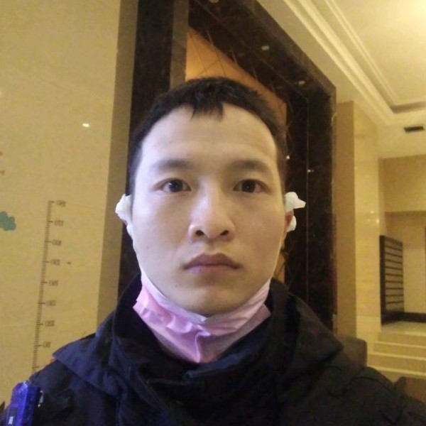 乌龟爬树的照片