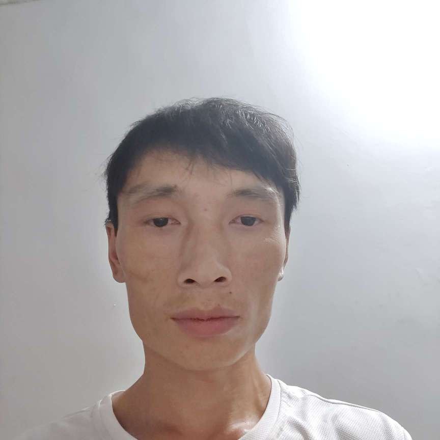 零   碎的照片