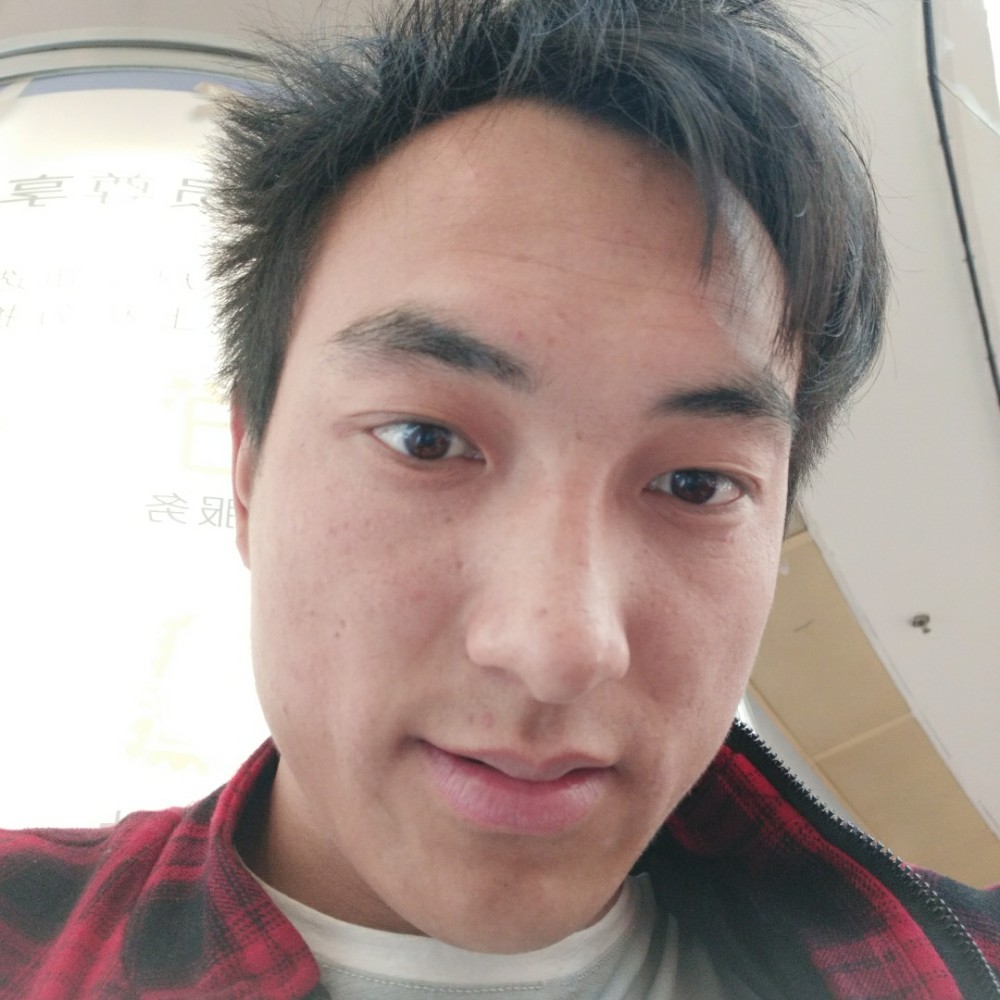 狗演变调皮的照片