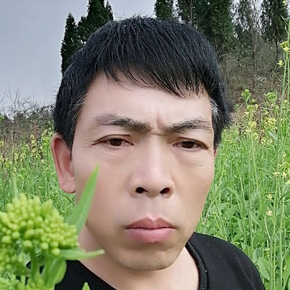坚持不是梦的照片
