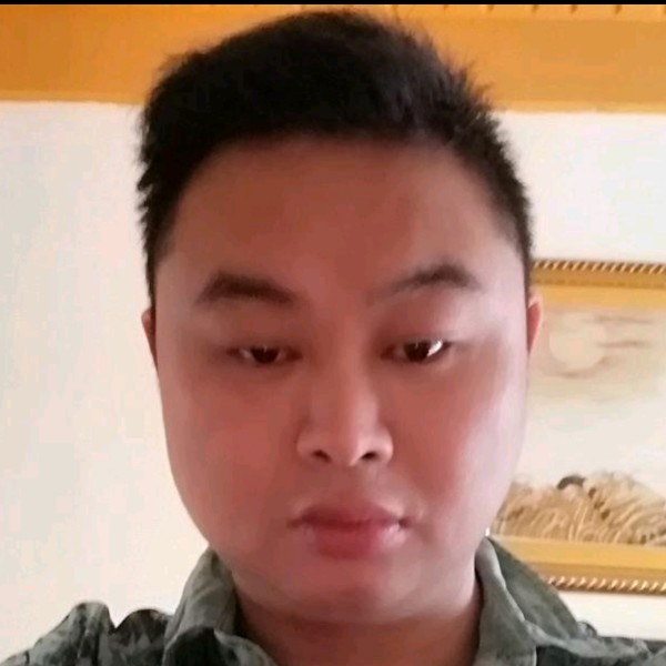 树叶舒服的照片