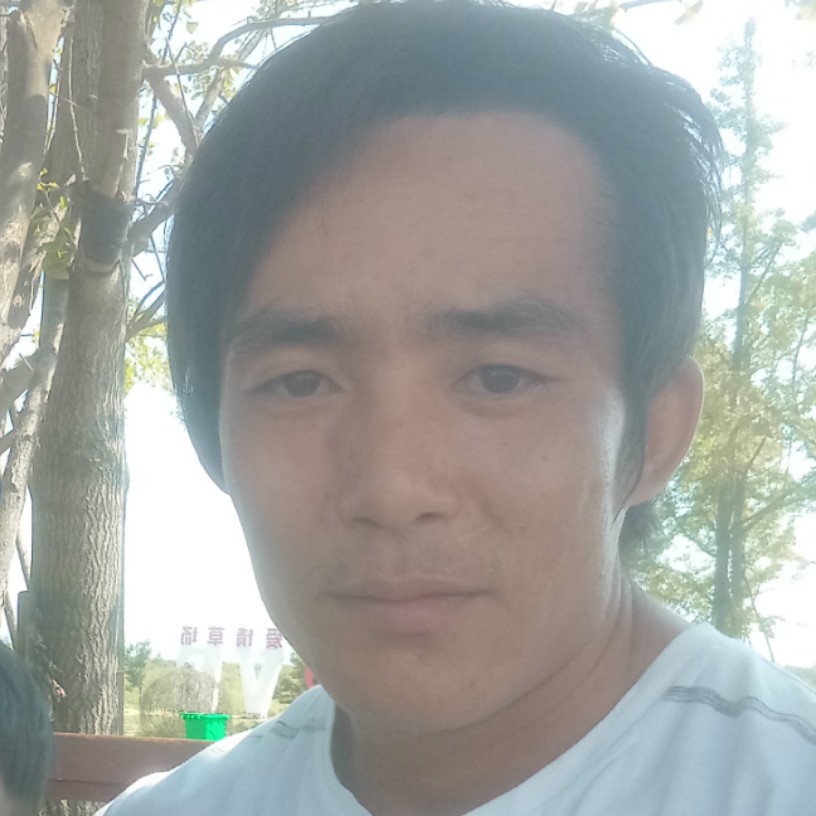 阳光深拥飞鸟的照片