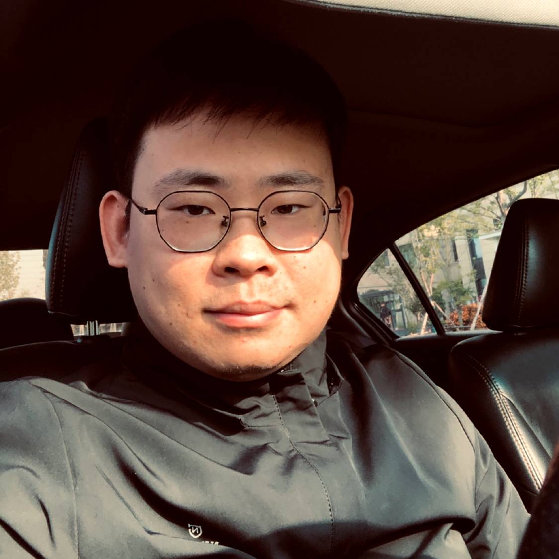 阳光灿烂小白马的照片