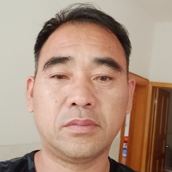 孤独有手机的照片