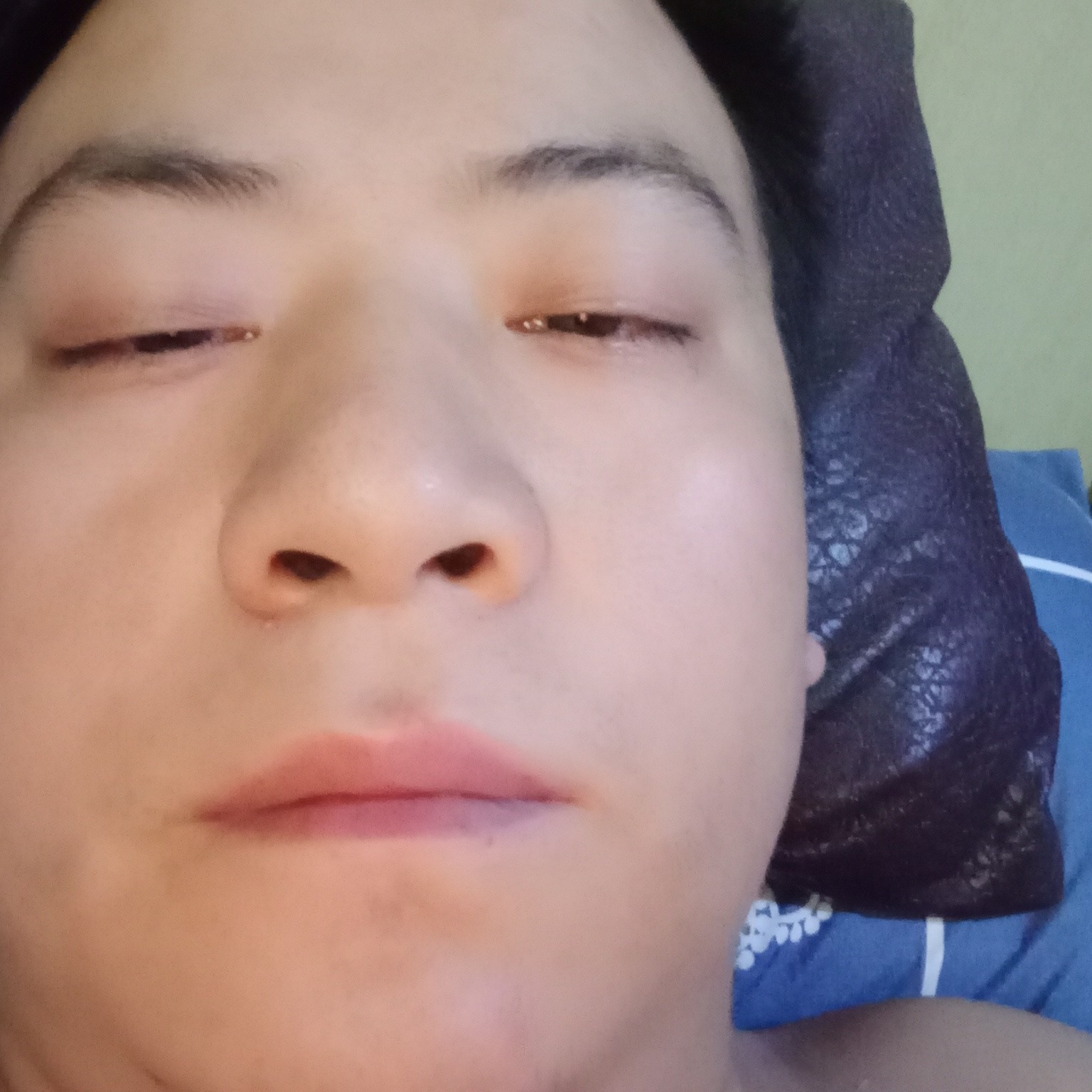 wr利亚狼的照片