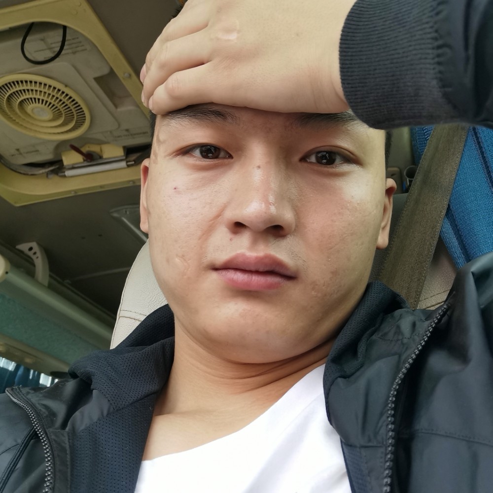 孤單凝眸仙人掌的照片