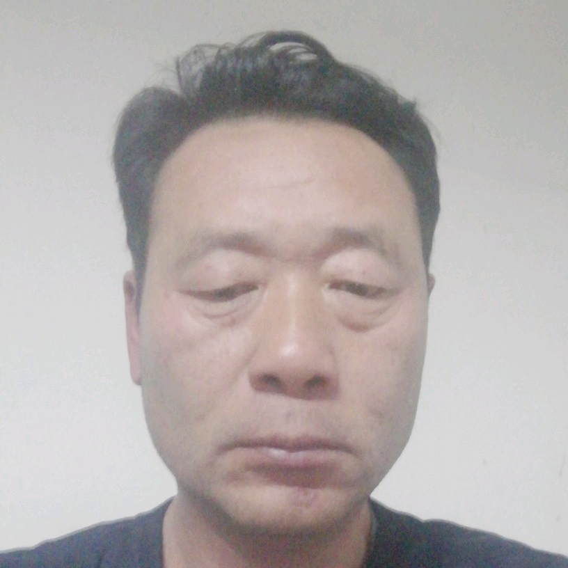 乌龟拉长的照片