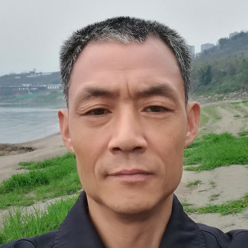 野性保卫黄蜂的照片
