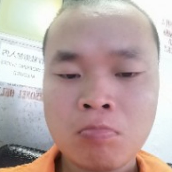 小海豚泪了粗犷的照片