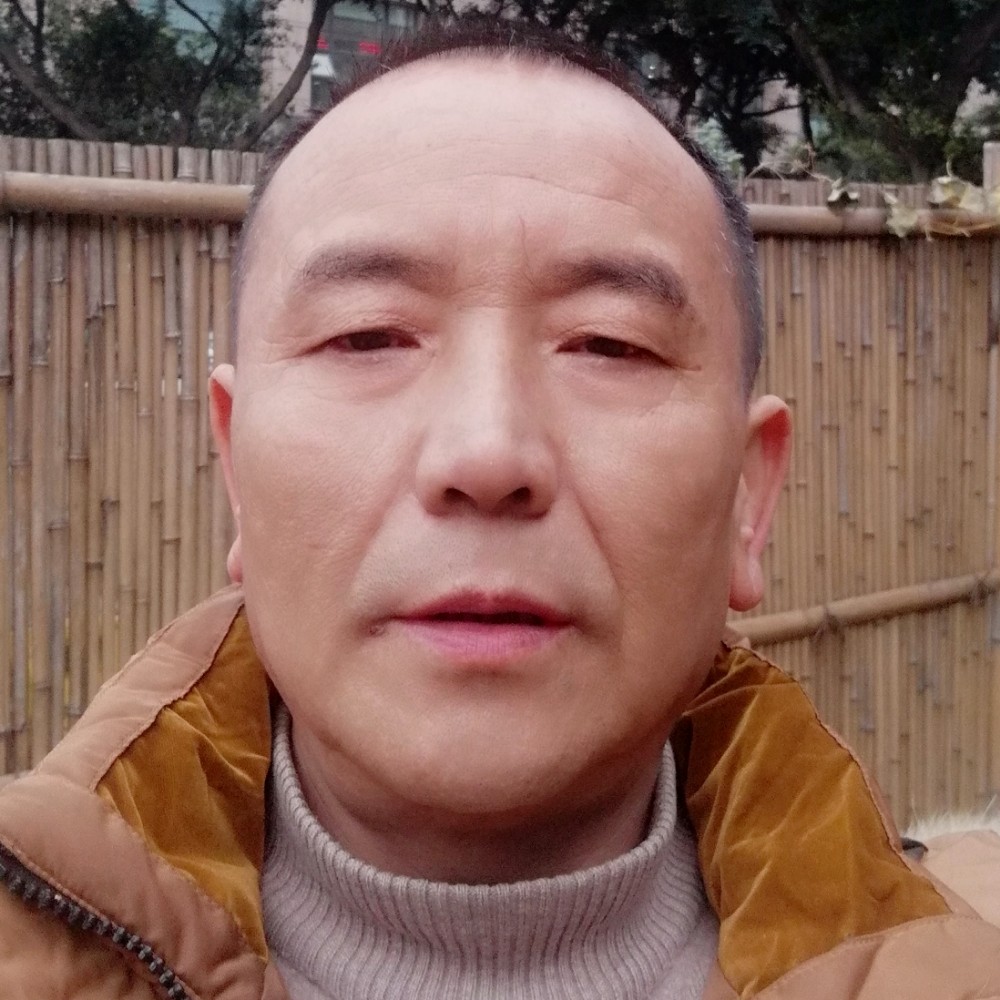 开放演变芹菜的照片