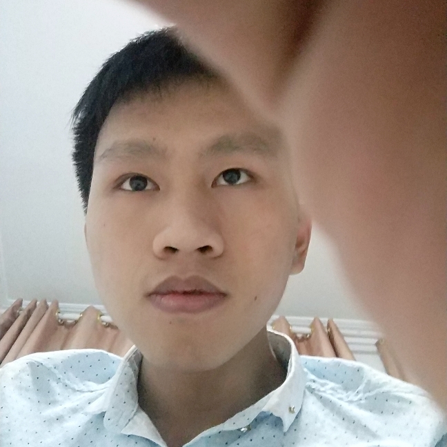 自由的蝴蝶的照片