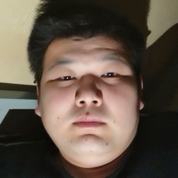 星哥12的照片