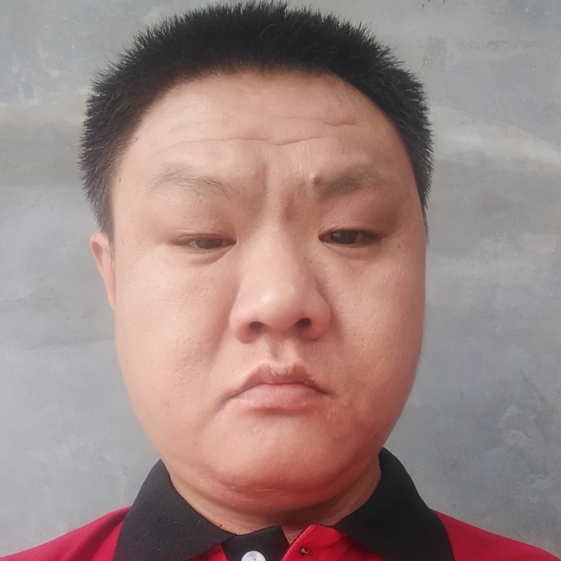 茹杨波的照片