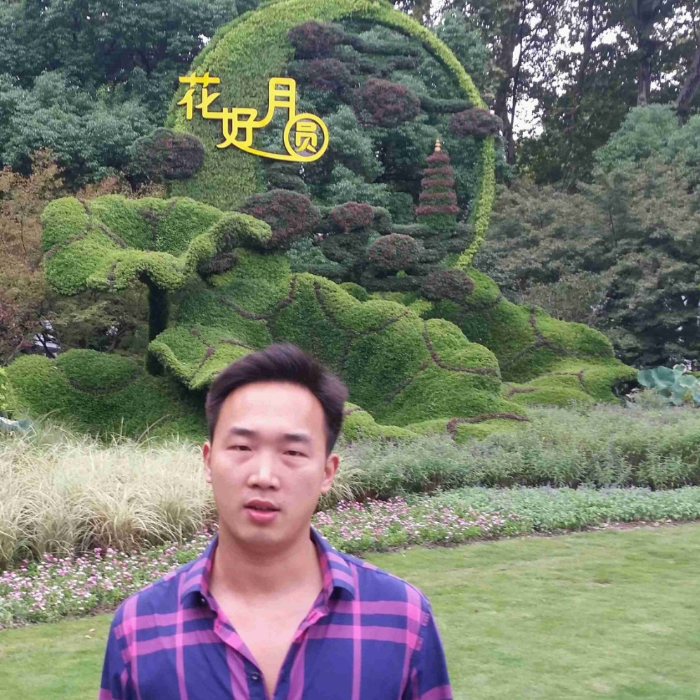 直率蜗牛的照片