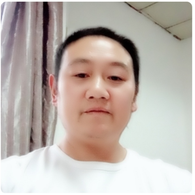 可爱的花瓣的照片