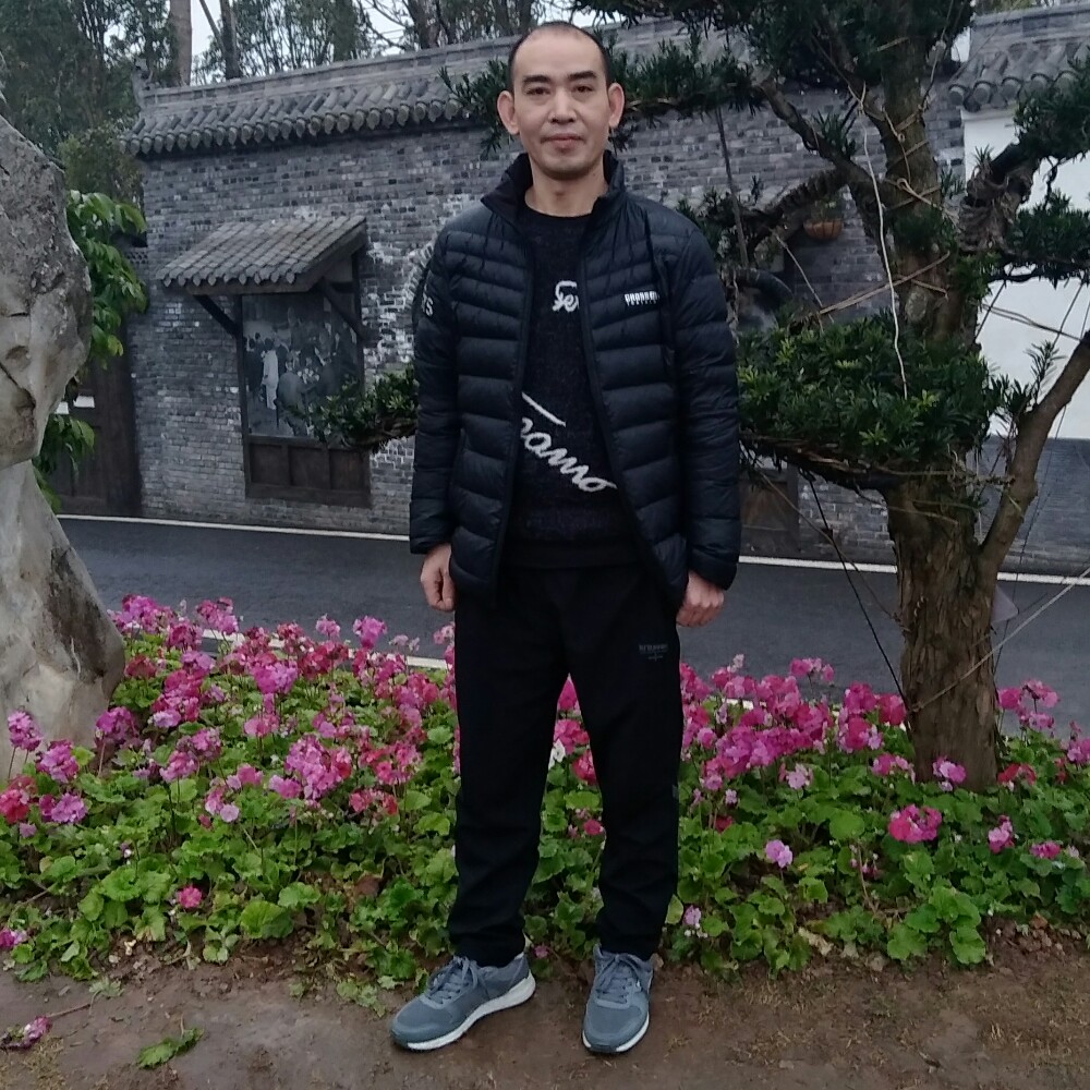 小鸭子爱幽默的照片