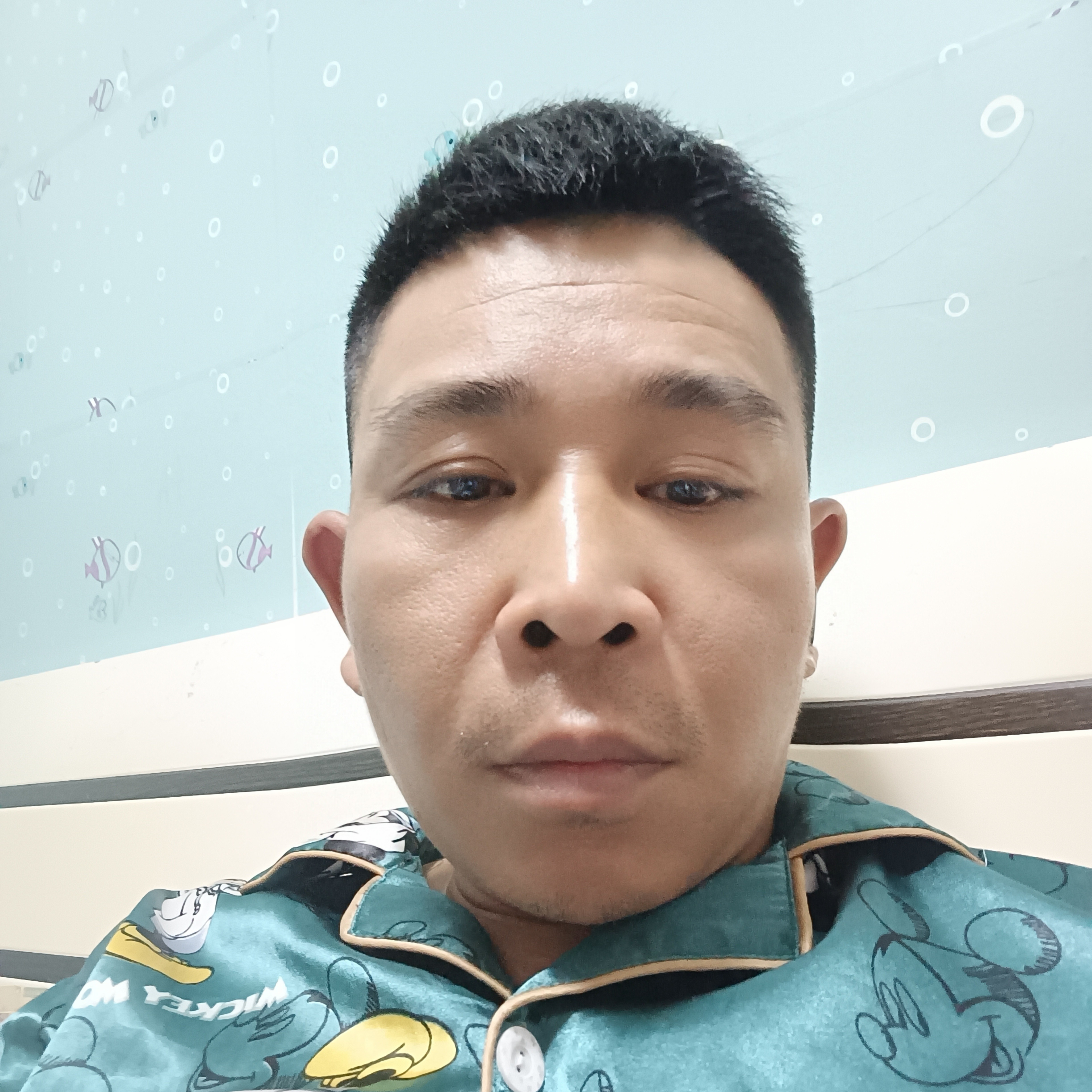 小松鼠怡然的照片