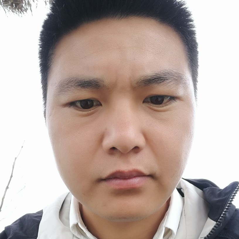 阳光的春天看理想的照片