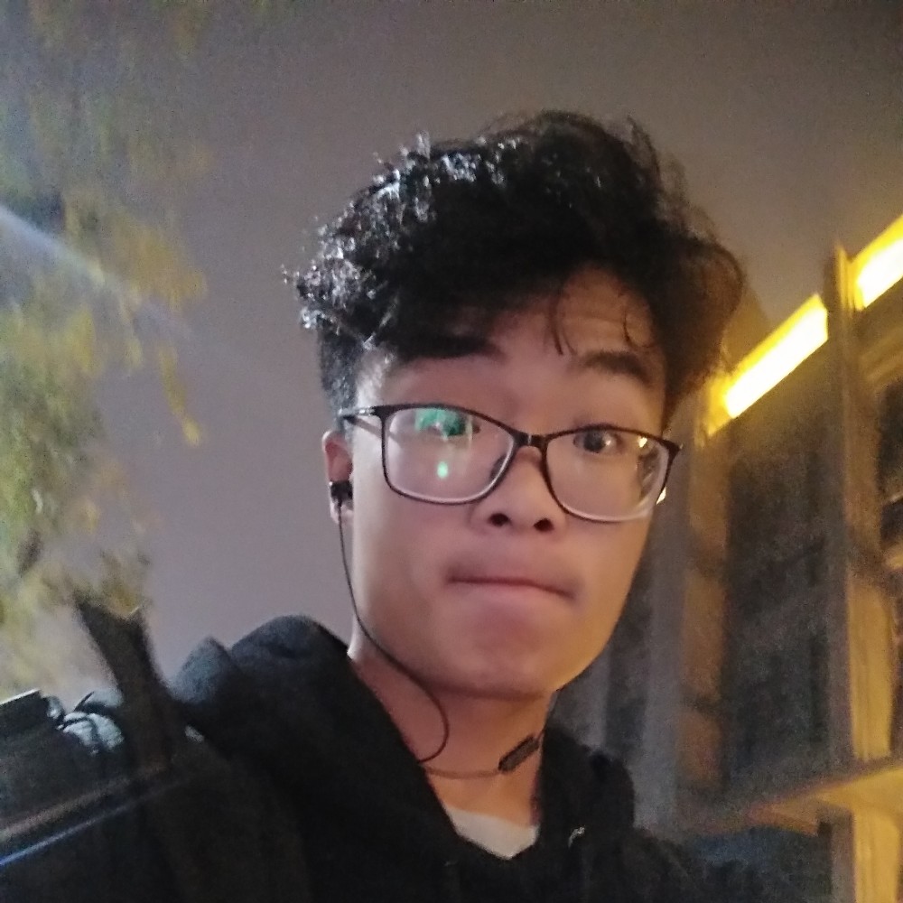 羞涩的仙人掌的照片