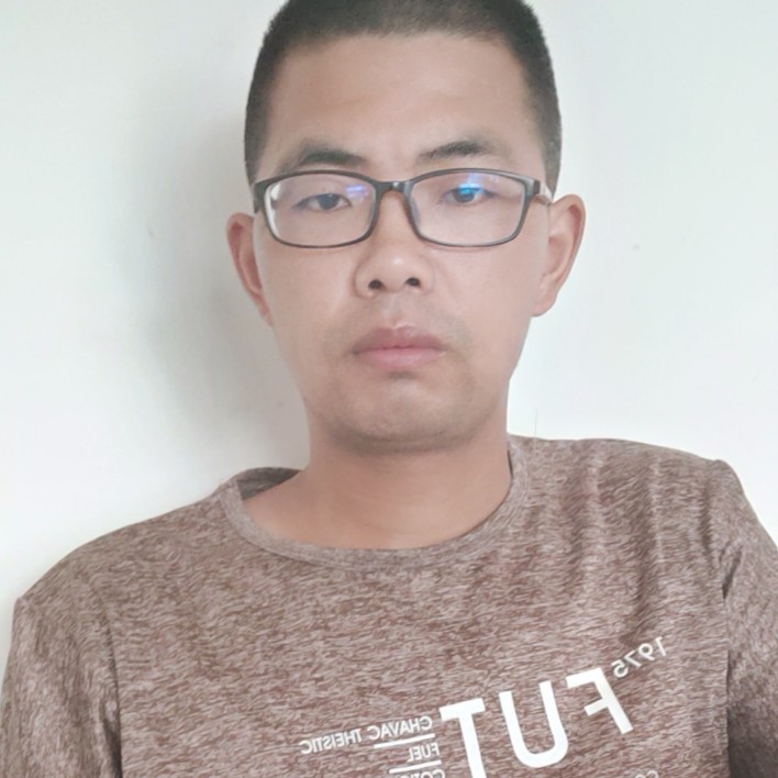 沙洲隼的照片