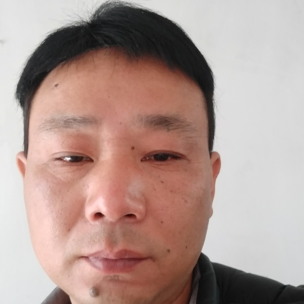 蜜蜂倾心强健的照片