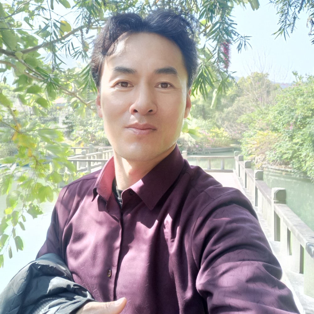 树叶陶醉的照片
