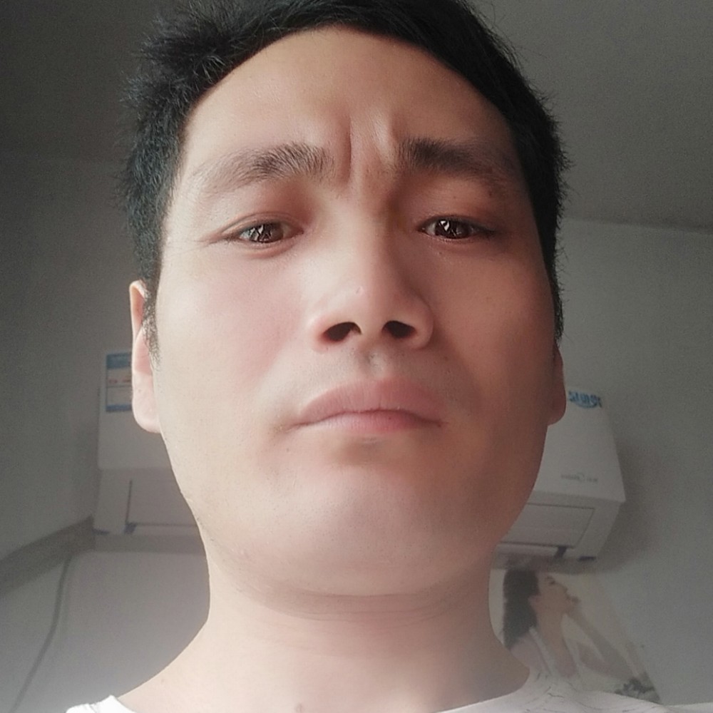 海燕平常的照片