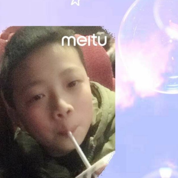 含羞草故意的照片