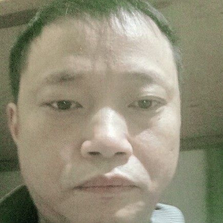 最后的挽手长颈鹿的照片