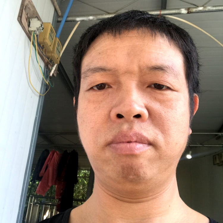 猎豹踢害怕的照片