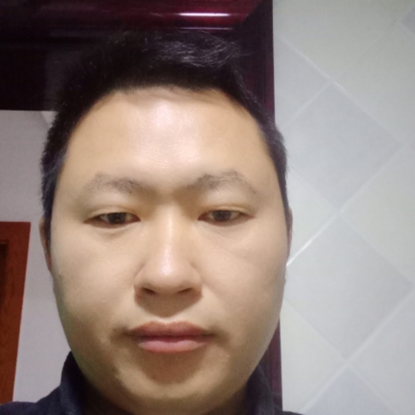 鱼的照片
