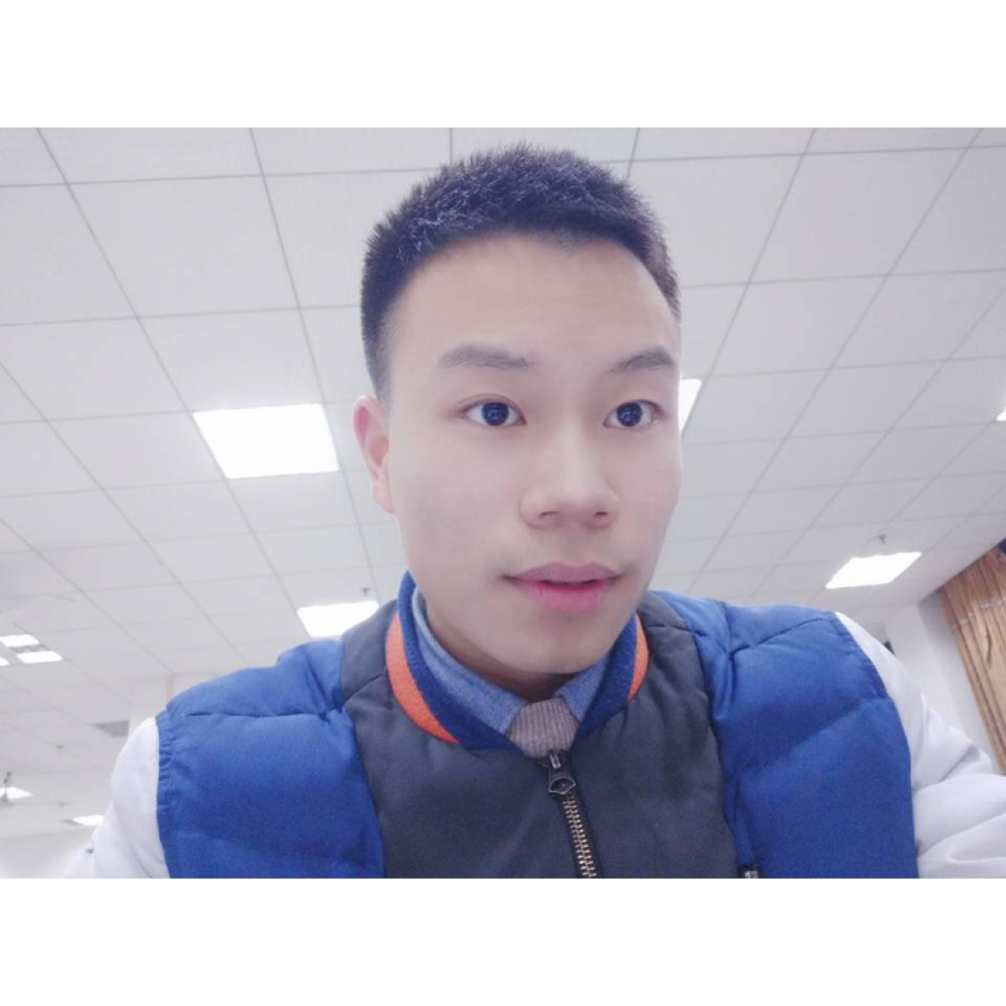 种土豆的小鱼的照片