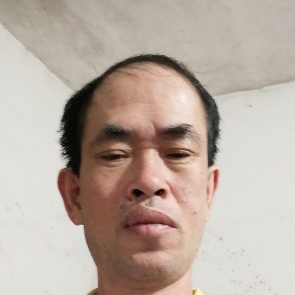 痴情的狼的照片