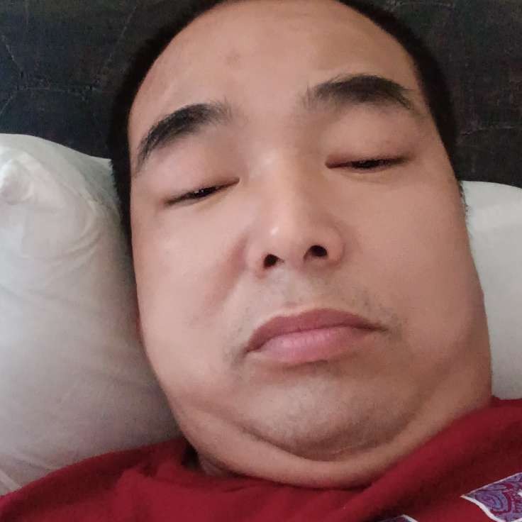 奇异果和幸福的照片