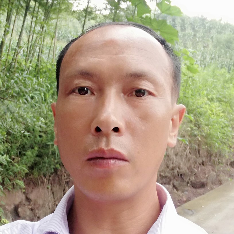 怀中兔的照片