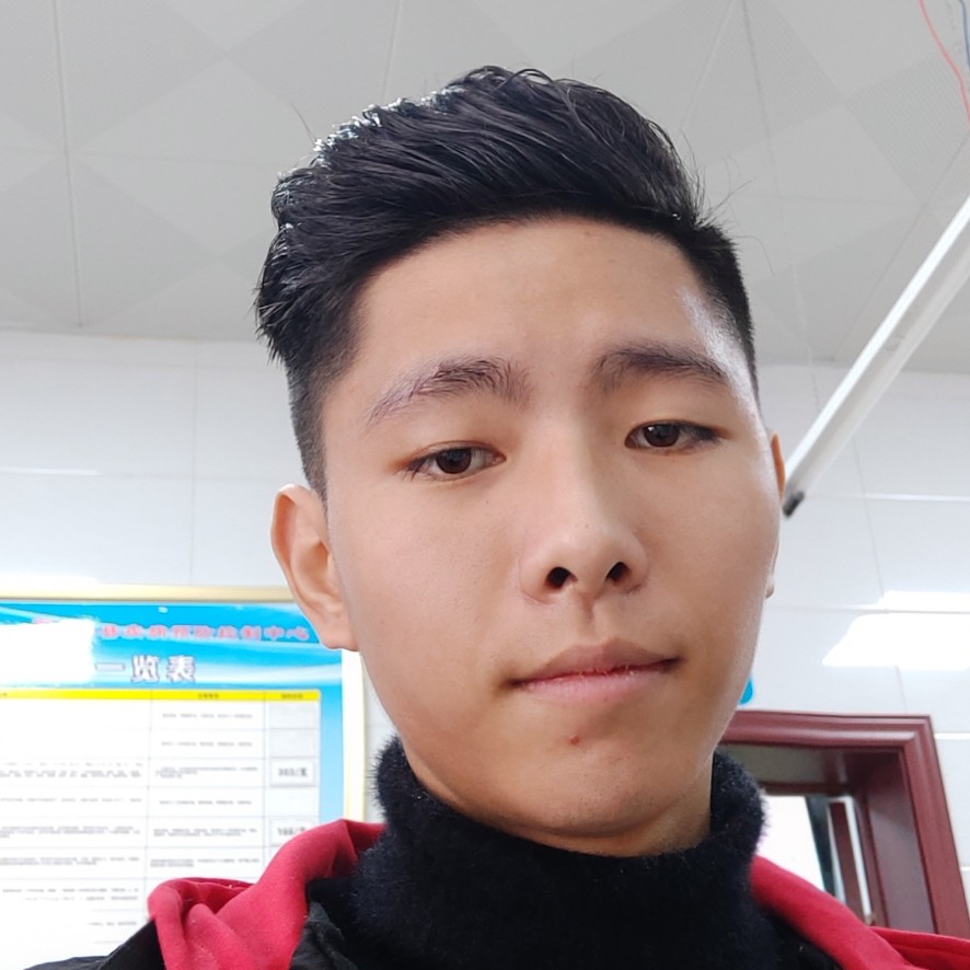 飞向的翅膀的照片