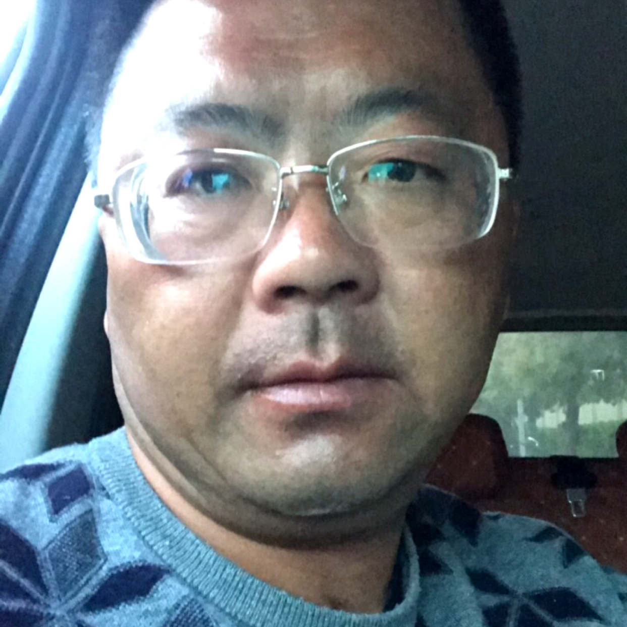 金毛迎文静的照片