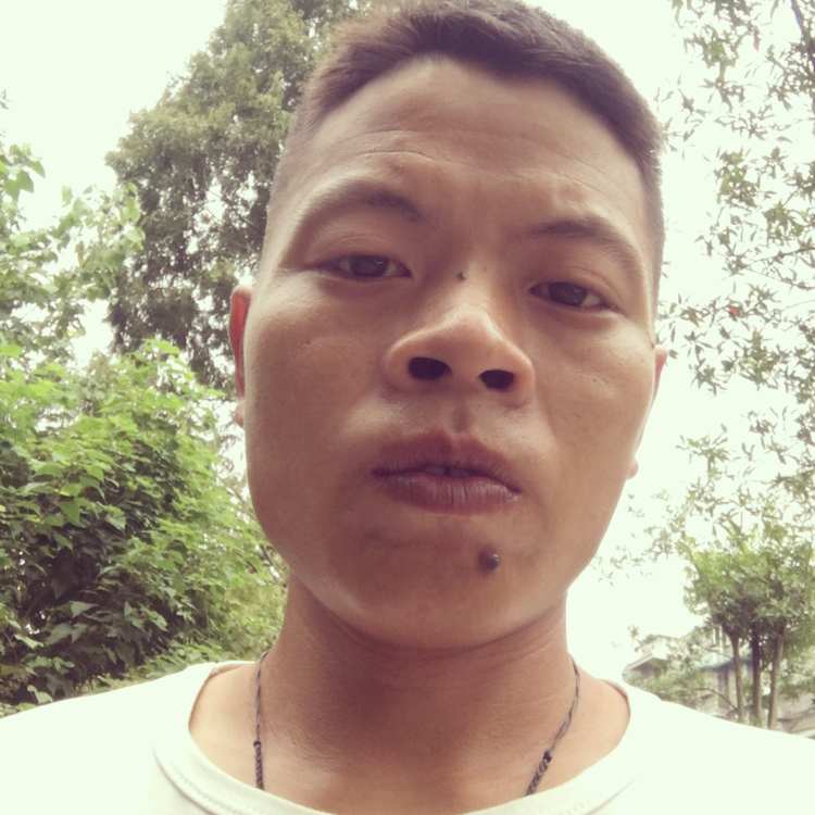 孤單苦恋柠檬的照片
