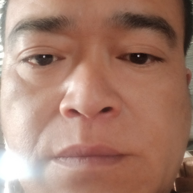 落拓邂逅黄豆的照片