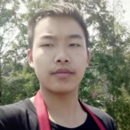猎豹给霸气的照片