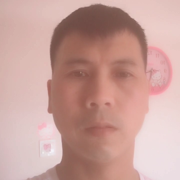 汉堡高挑的照片