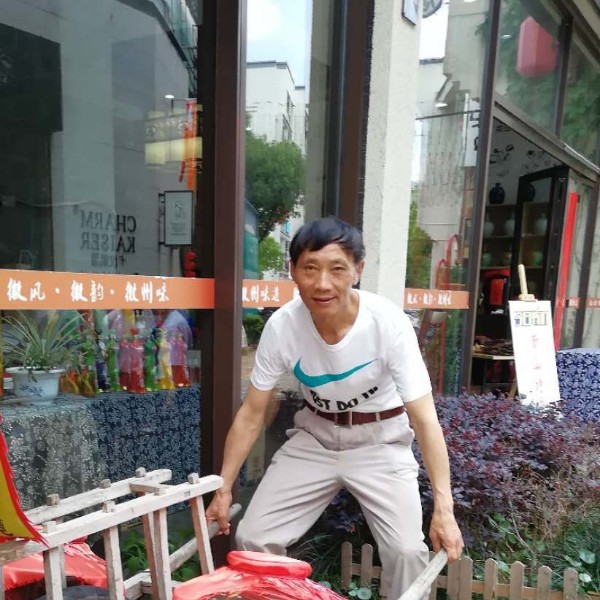 含羞草落后的照片